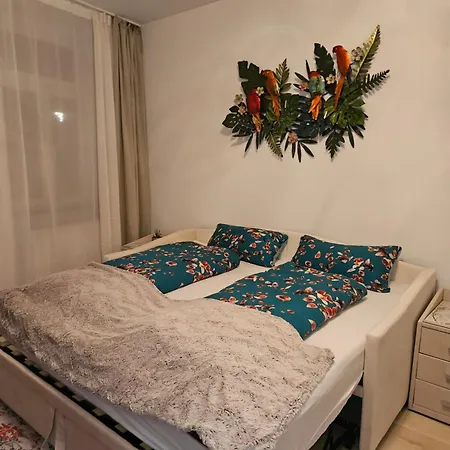 Olymp 1-4 Appartement Bamberg