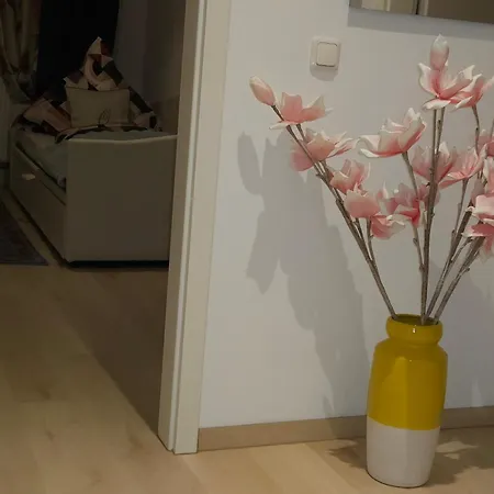 Olymp 1-4 * بامبرج